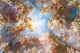 Ceiling Painting Palace Versailles Wall Decal