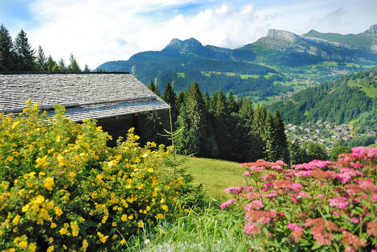 Mountain Chalet Wall Decal