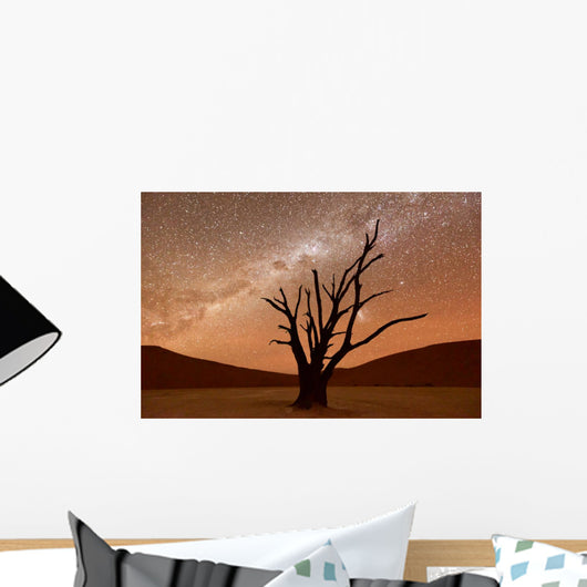 Deadvlei Namibia Wall Decal