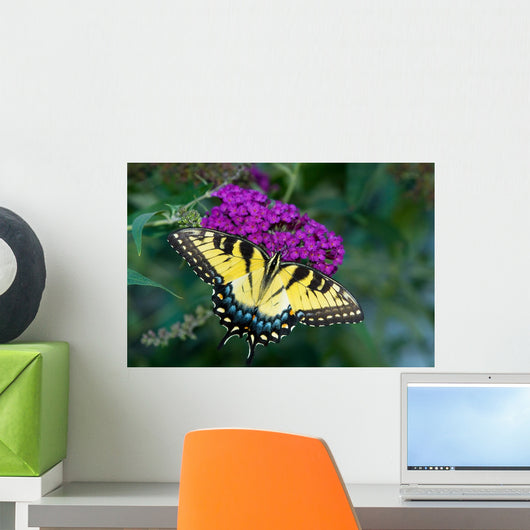 Butterfly Wall Decal