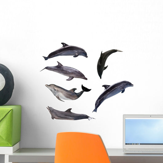 Six Grey Doplhins Wall Decal Sticker Set