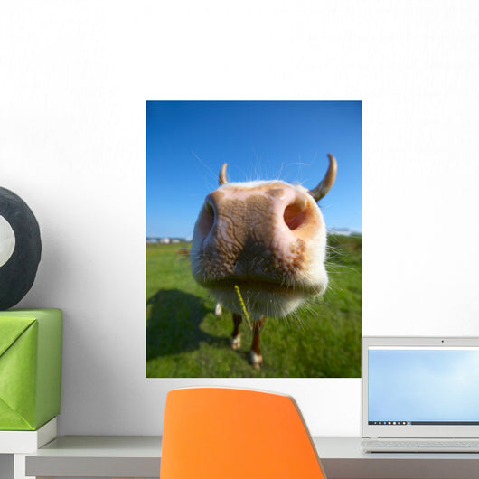Amusing Close-up Cow's Mug Wall Decal