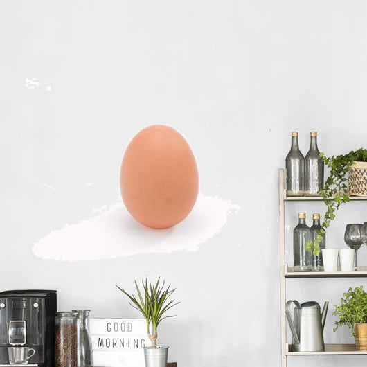 Single Brown Chicken Egg Wall Decal