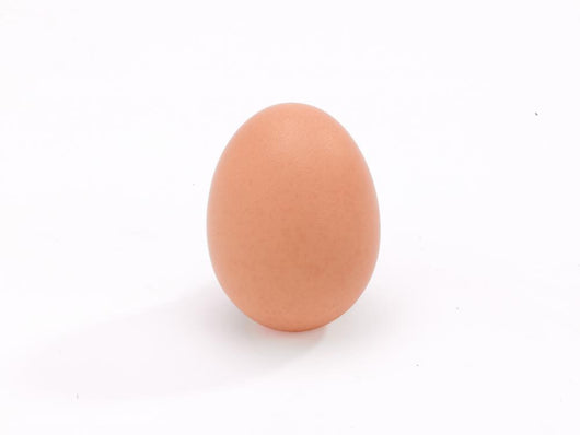 Single Brown Chicken Egg Wall Decal