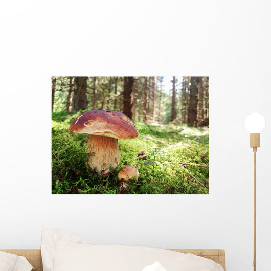 Prachtiger Steinpilz im Fichtenwald Wall Decal