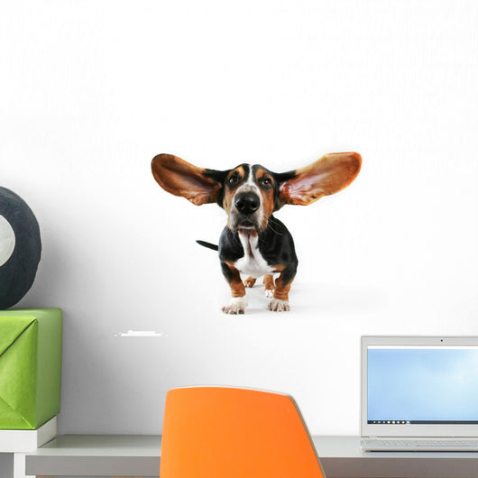 Flying Ears Basset Hound Wall Decal