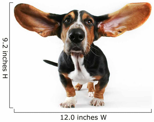 Flying Ears Basset Hound Wall Decal