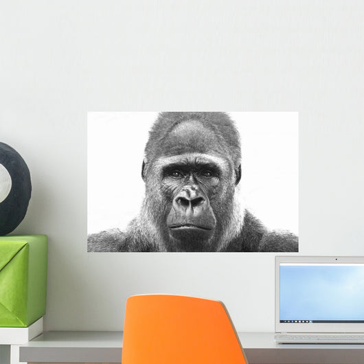 Old Gorilla Wall Decal