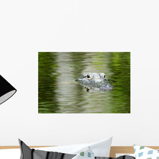 American Alligator Beautiful Water Wall Decal