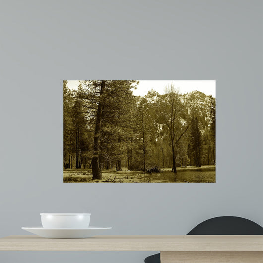 Sepia Valley Wall Decal