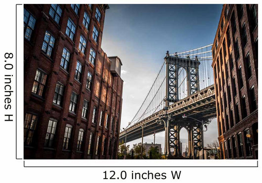 Manhattan Bridge Seen from Wall Decal