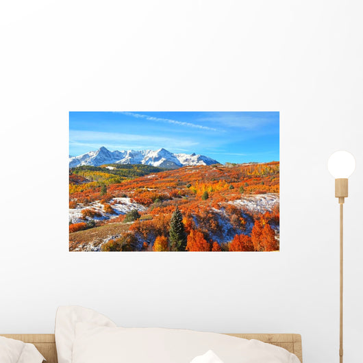 Dallas Divide Wall Decal