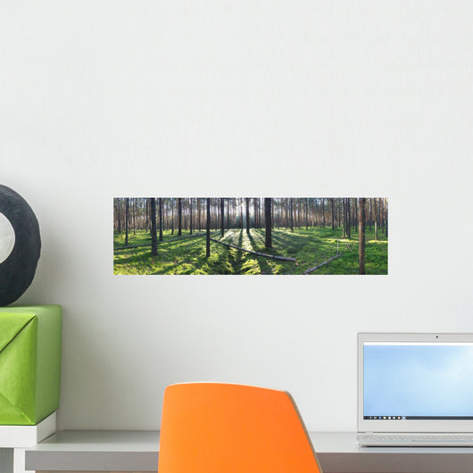 Early Morning with Sunrise Wall Decal