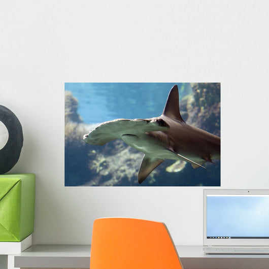 Hammerhead Shark Wall Decal