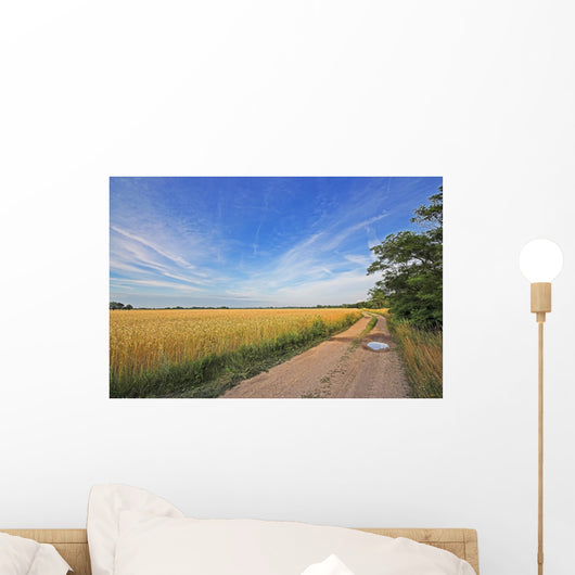 Catcher Rye No Wall Decal