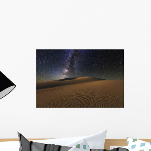 Amazing Views Gobi Desert Wall Decal