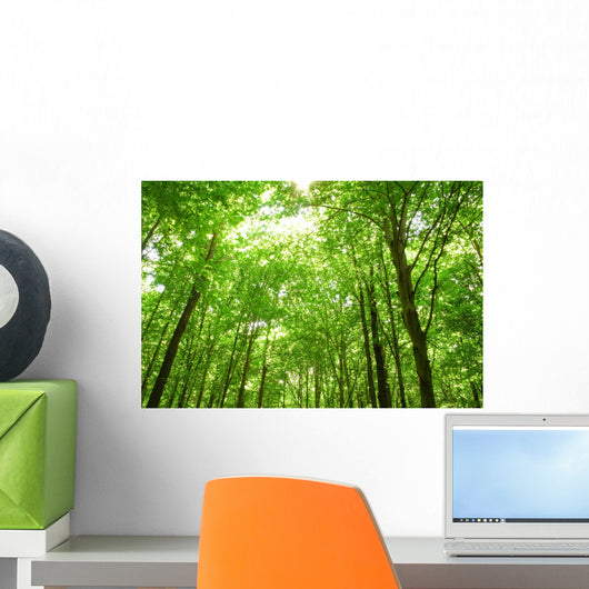 Sunlight Trees Green Forest Wall Decal