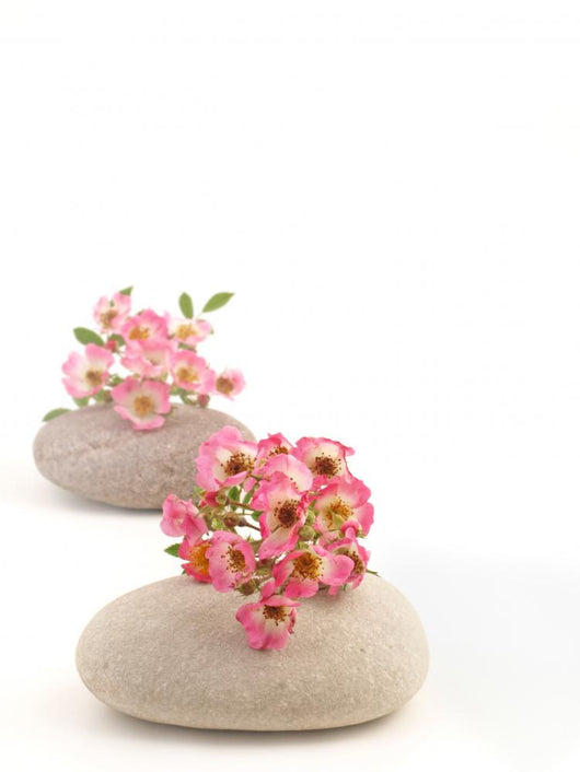 Stone Wall Decal