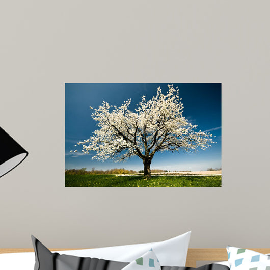 Single Blossoming Tree Spring Wall Decal
