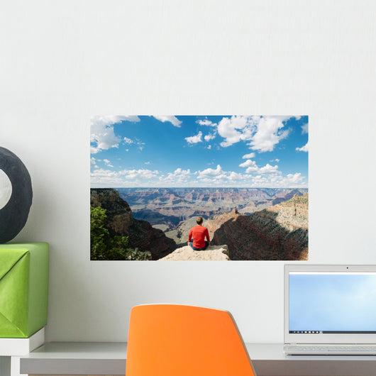Man Hiking Overlooking Epic Wall Decal