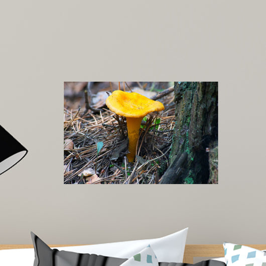 Mushroom Chanterelle Wall Decal