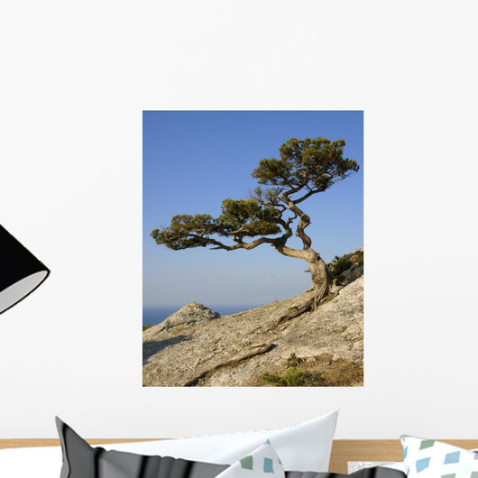 Crimea Coast Black Sea Wall Decal
