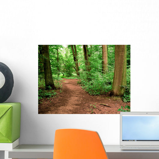 Unpaved Road Forest Wall Decal