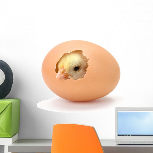 Newborn Yellow Chicken Hatching Wall Decal
