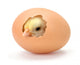 Newborn Yellow Chicken Hatching Wall Decal