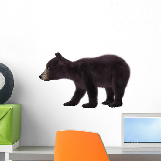 Black Bear Cub Wall Decal