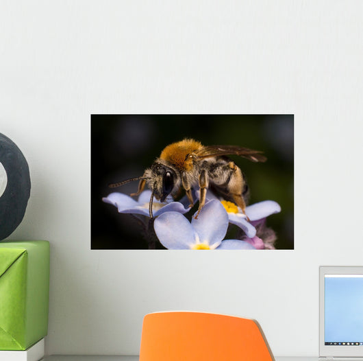 Bee Wall Decal