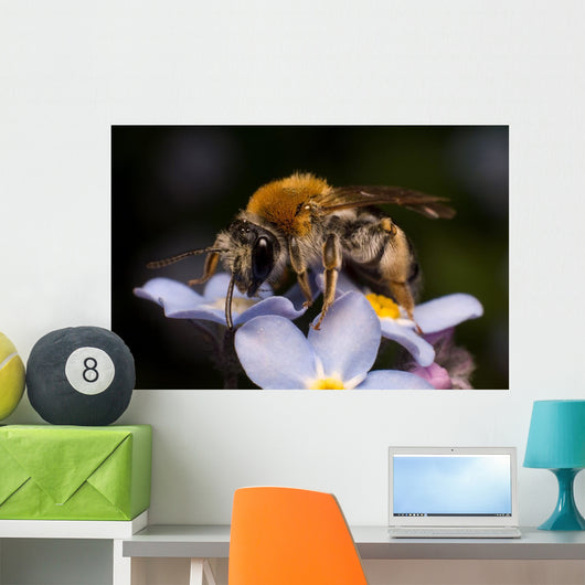 Bee Wall Decal