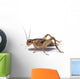 Brown Cricket White Wall Decal