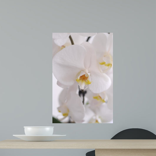 Blhende Orchidee Wall Decal
