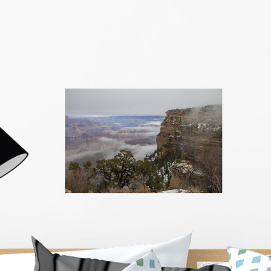 Winter Fog Arizona Canyon Wall Decal