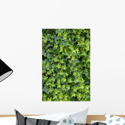 Ivy Foliage Park Wall Decal