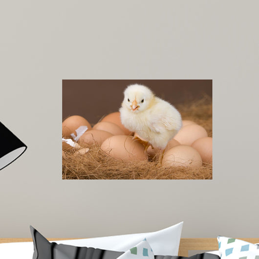 Chick and Eggs Wall Decal