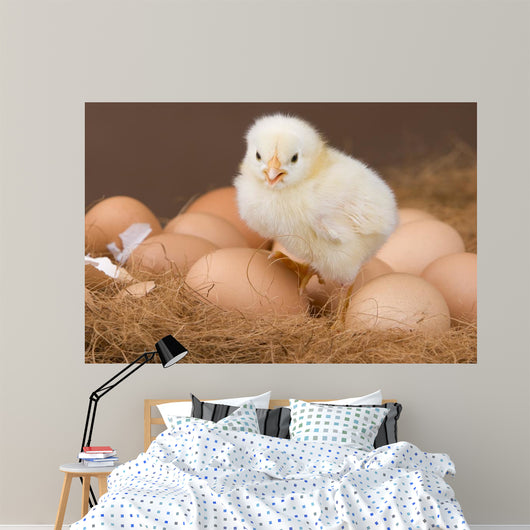 Chick and Eggs Wall Decal