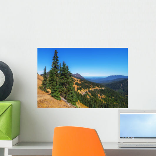 Fir Grove Hillside near Wall Decal