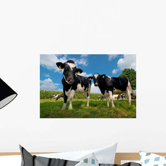 Ha Bsche Rinder Wall Decal