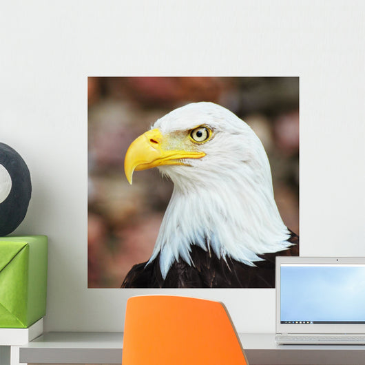 Aigle Wall Decal