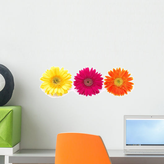 Colorful Gerber Daisies Wall Decal Panoramic