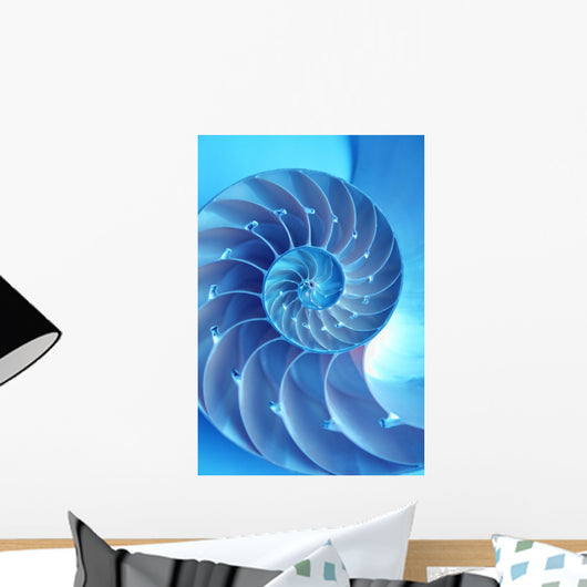 Split Nautilus Seashell Showing Wall Decal