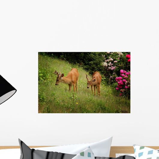 Two Young Male Black-tailed Wall Decal