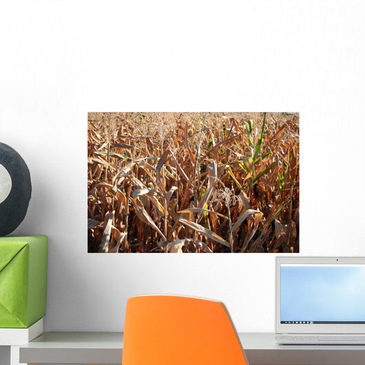 Corn Wall Decal