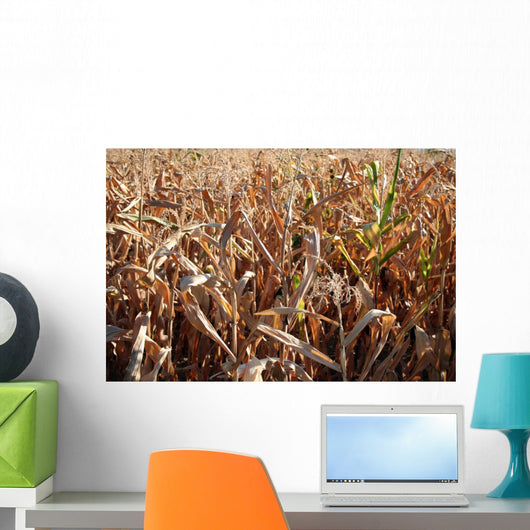 Corn Wall Decal