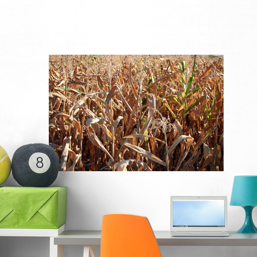 Corn Wall Decal