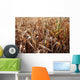 Corn Wall Decal