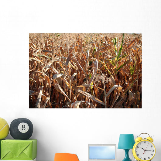 Corn Wall Decal