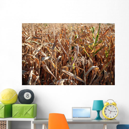 Corn Wall Decal